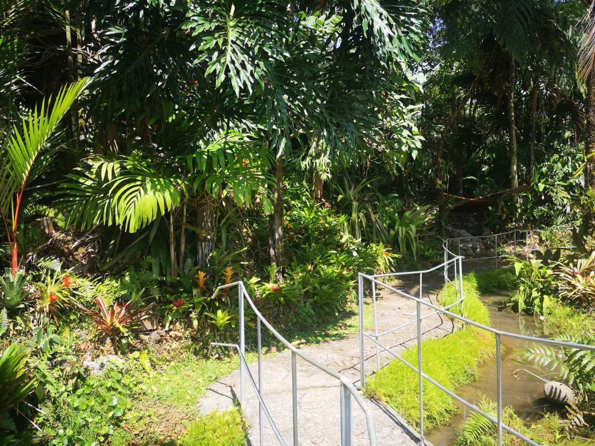 Casa Mendez B&B La Tigra (San Carlos) Exterior photo